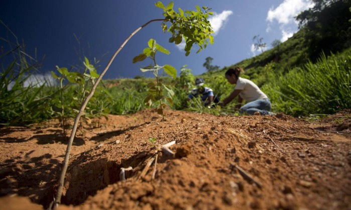 Instituto Inicia Projeto Para Proteger Nascentes Do Vale Do Rio Doce