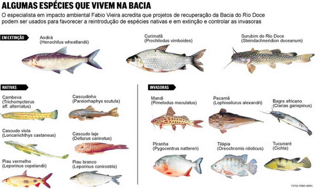 Os Rios Que Carregam Esperan A Para O Doce Jornal O Globo