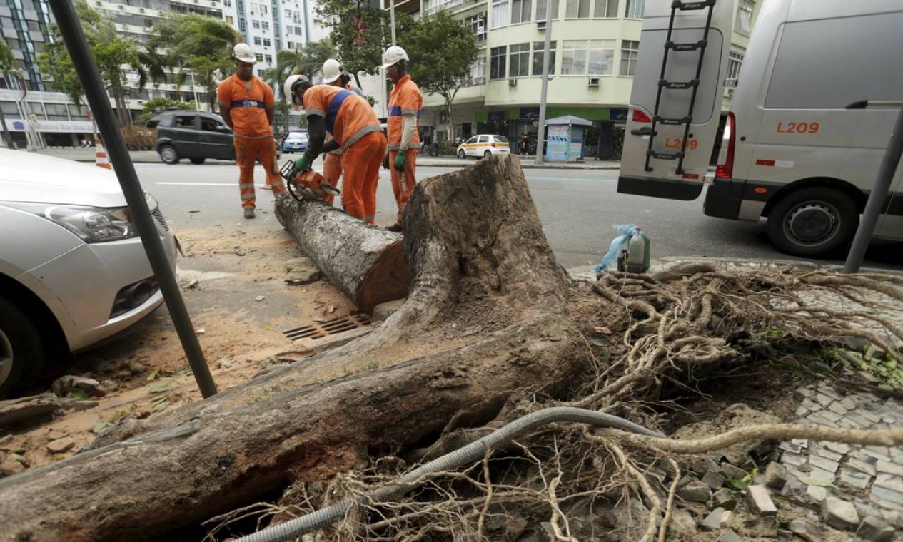 Ventania derruba poste e árvores nas zonas Sul e Norte na madrugada de