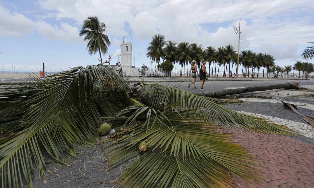 Ventania E Chuva Forte Derrubam Rvores No Rio Jornal O Globo