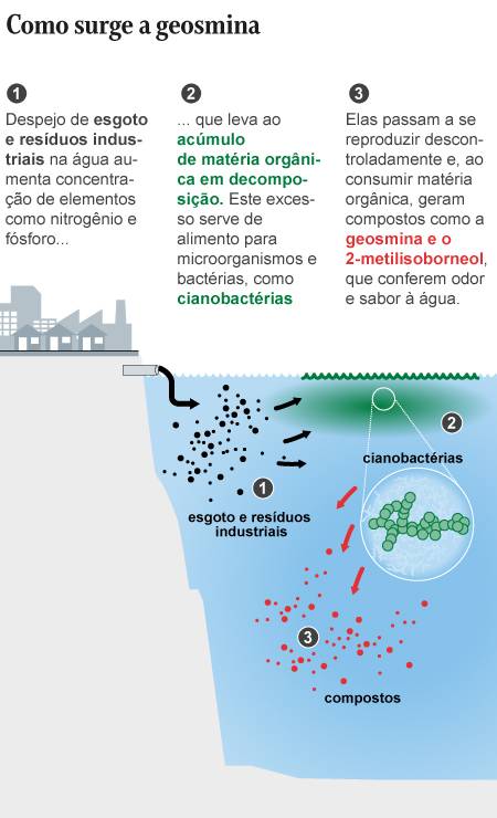 Entenda como a geosmina se forma e por que o carvão ativado filtra a