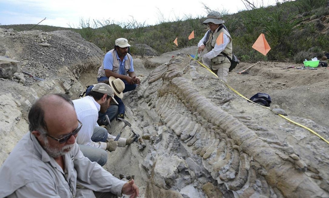 Paleontólogos descobrem cauda de dinossauro no norte do México Jornal