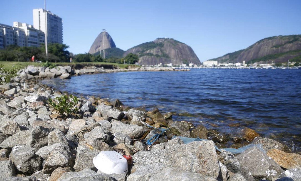 Confira como foi debate sobre a Baía de Guanabara da Semana Rio 2020