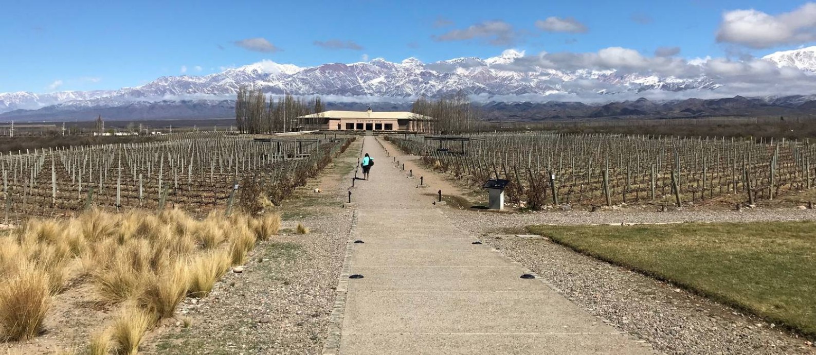 Aos pés da cordilheira. A vinícola Salentein está entre os destaques na rota dos vinhos de Mendoza. A região oferece ainda boa gastronomia e produção de azeite de oliva Foto: Janaína Figueiredo