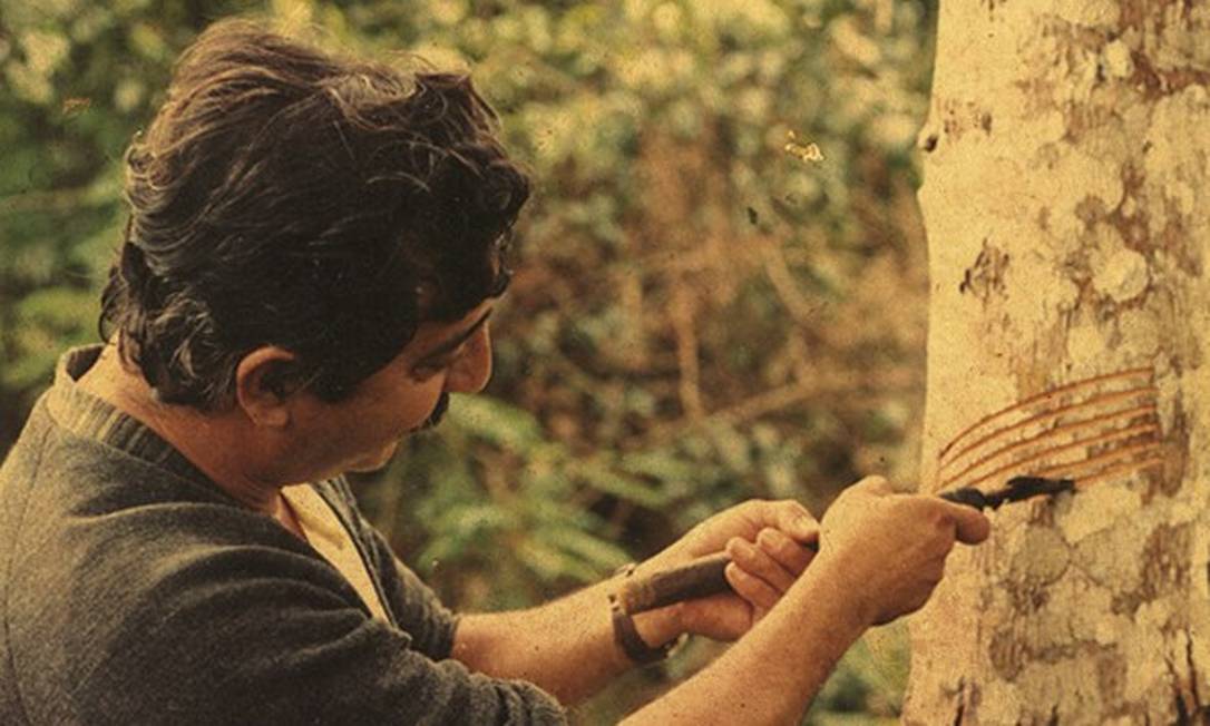 Legado em risco: assassinato do ecologista Chico Mendes completa 30 anos sob ameaças às reservas extrativistas, sua principal bandeira Foto: Divulgação