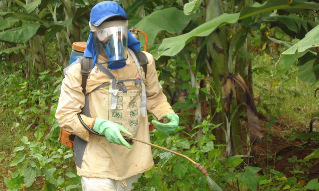 Aplicação de agrotóxicos: ambientalistas temem que governo esteja pressionando Ibama e Anvisa para acelerar a introdução de novos químicos no mercado Foto: Raquel Rigotto / Infoglobo