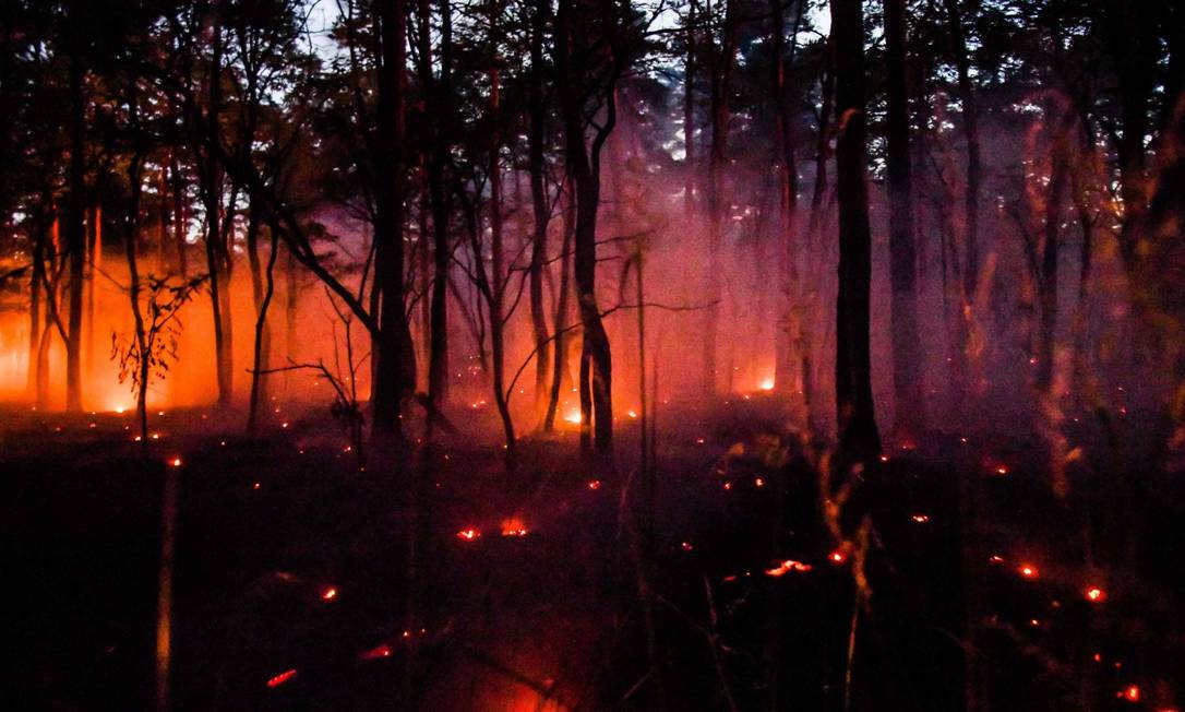 Incêndio em floresta na fronteira da Alemanha com a Polônia, no dia 26 de junho Foto: JULIAN STAHLE/AFP