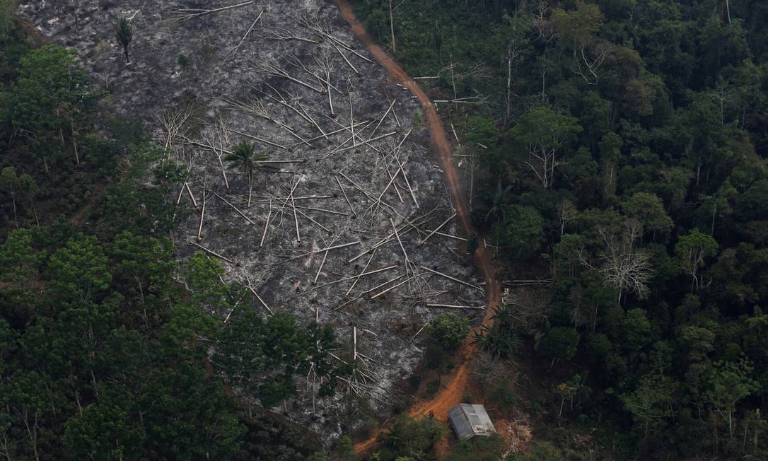 Vista aérea da floresta amazônica, na região de Porto Velho, em Rondônia Foto: Nacho Doce/Reuters/3-9-2015