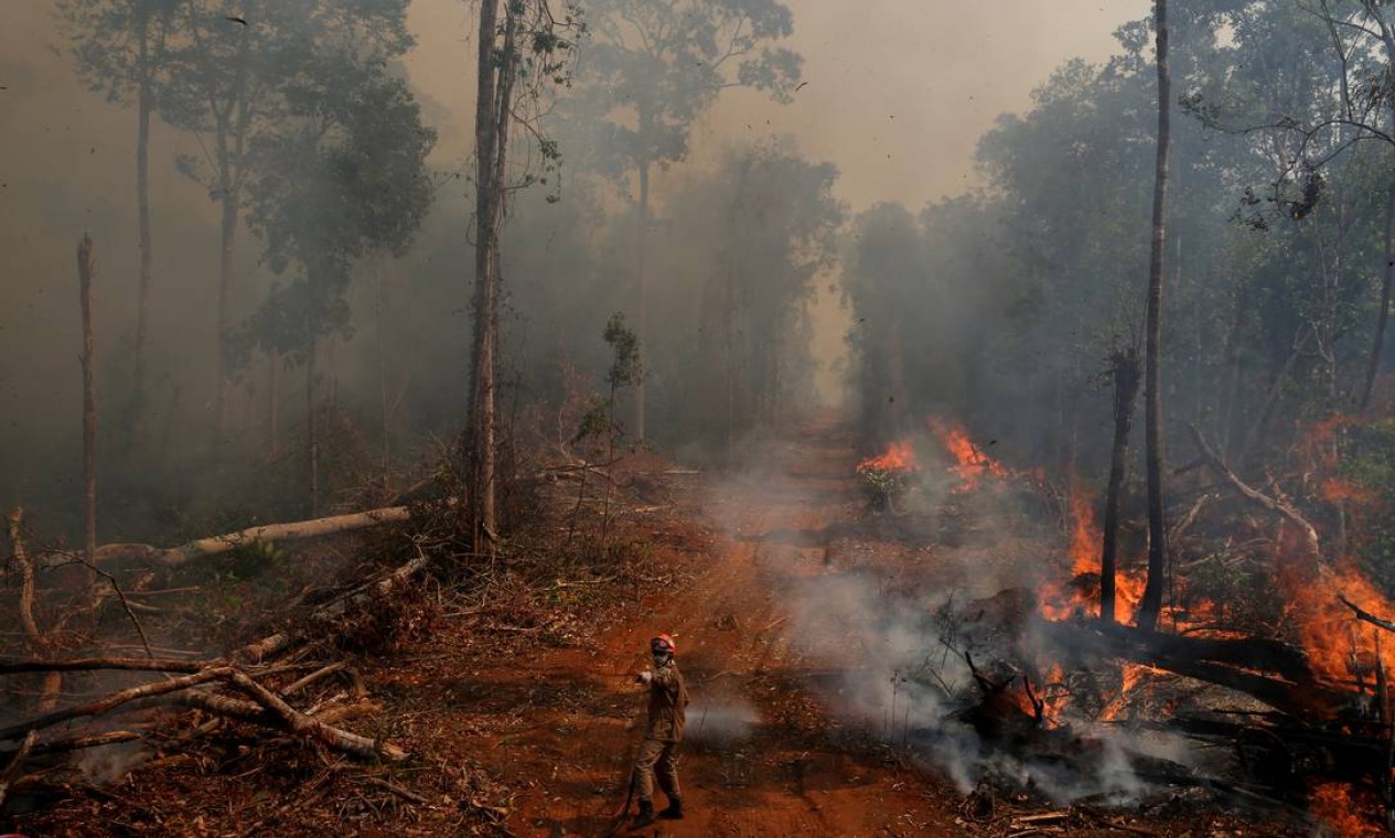 Na Amazônia Brasileira O Fogo Está Frequentemente Ligado Ao Desmatamento