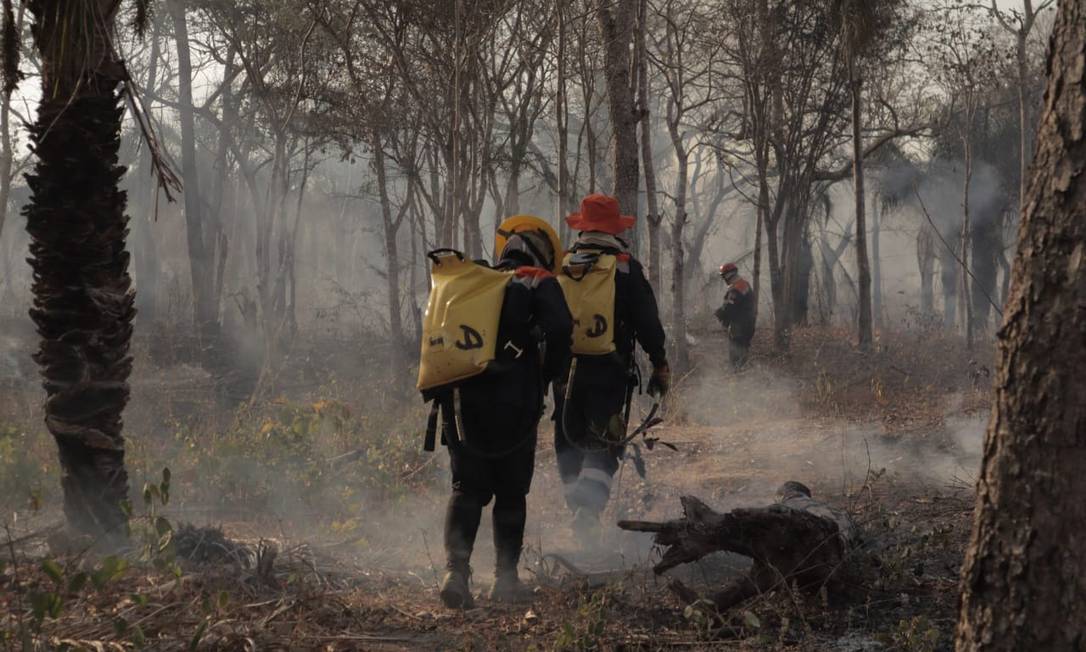 Fogo atinge Chapada dos Guimarães, em Mato Grosso, há vários dias Foto: Guilherme Silva/Divulgação