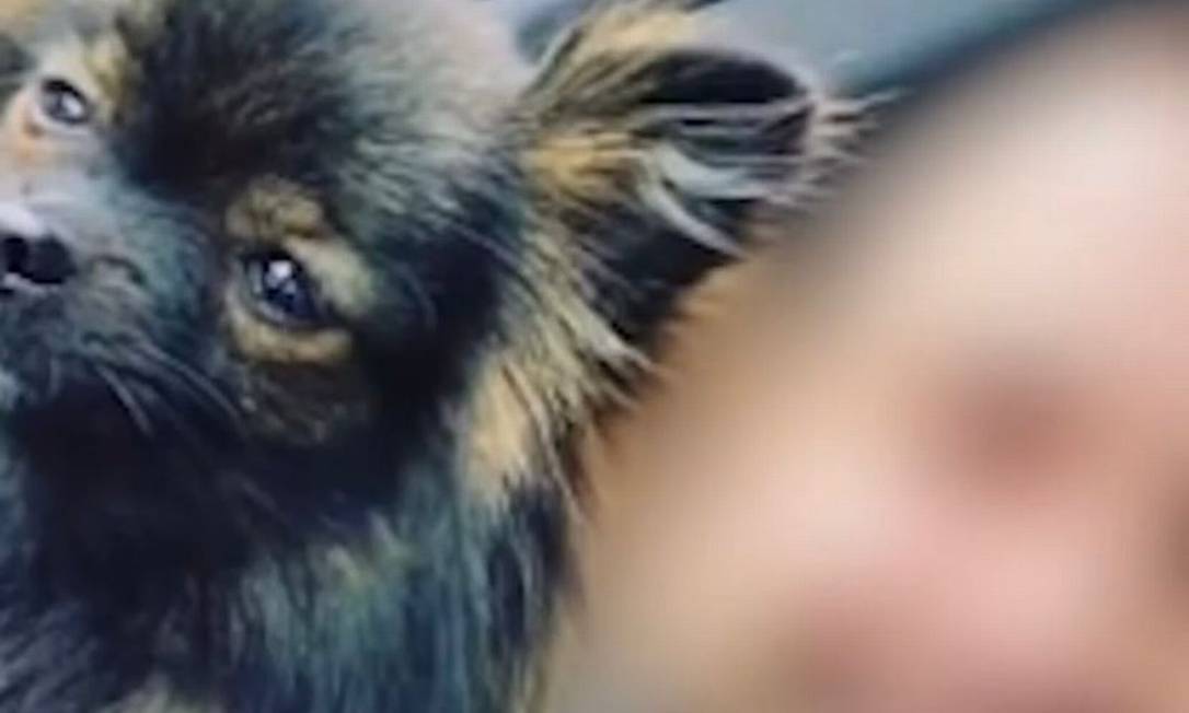 Homem tirava selfies com o cachorro para redes sociais Foto: Reprodução/Redes sociais