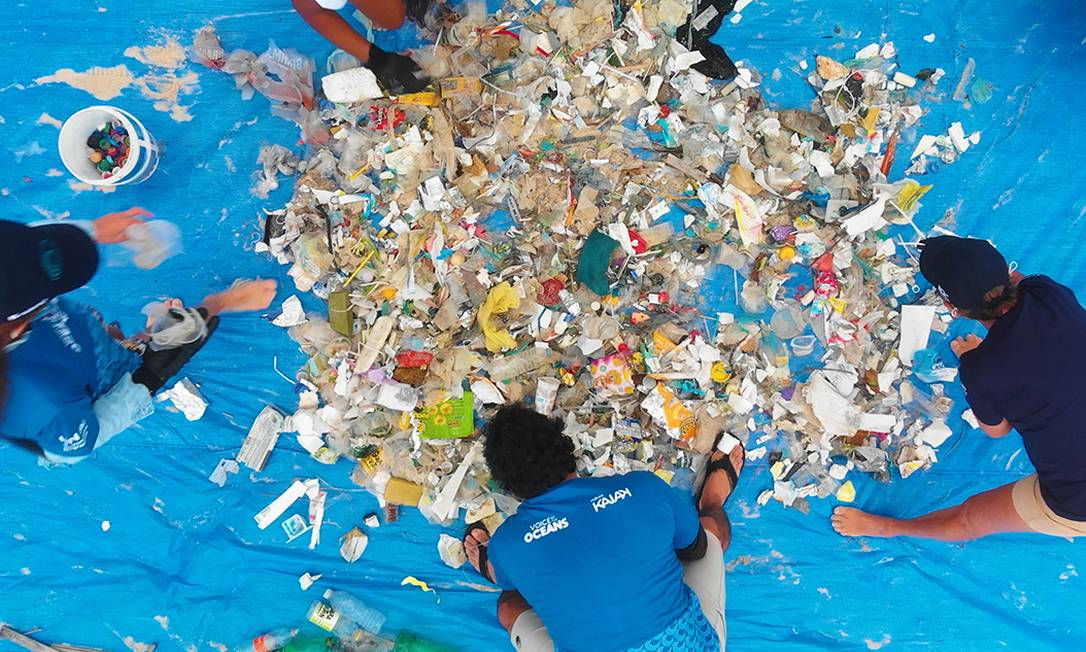 A expedição Voz dos Oceanos também realiza ações de limpeza de praias junto a ONGs locais Foto: Divulgação