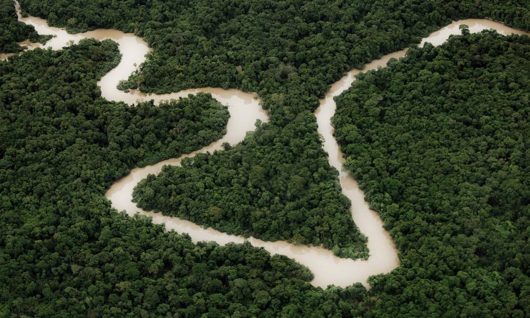 A Floresta Amazônica Foto: Mario Franca / Mario Franca