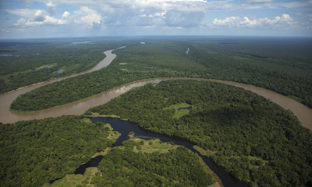 Vista aérea da Amazônia: preservar florestas pode soar inicialmente apenas como obrigação, mas para o Brasil pode ser uma oportunidade Foto: Antônio Scorza / O Globo
