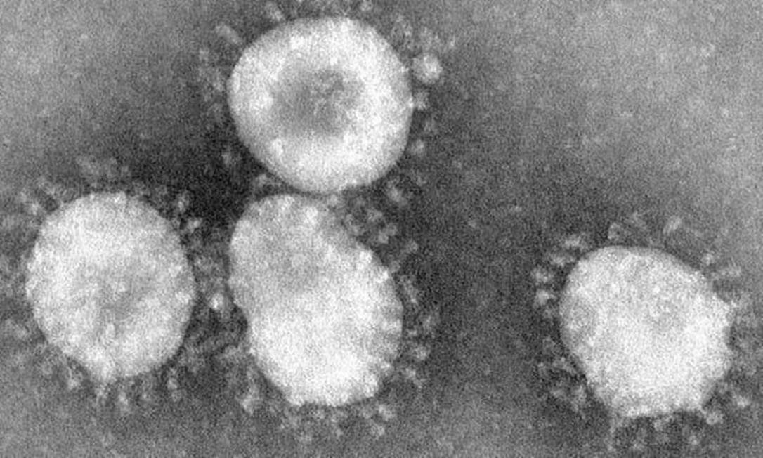 June Almeida identified the first type of coronavirus in 1964 Photo: Playback / BBC