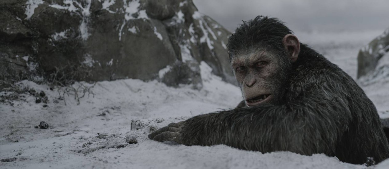 No novo dos macacos', guerra é ilustrada por comentários sociais sobre a atualidade