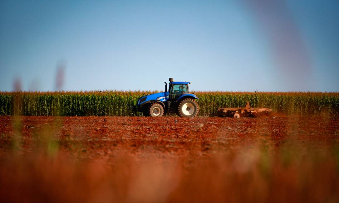 Produção de milho em fazenda próxima ao Distrito Federal; agronegócio brasileiro deve viver novo recorde em 2021 Foto: Pablo Jacob/Agência O Globo
