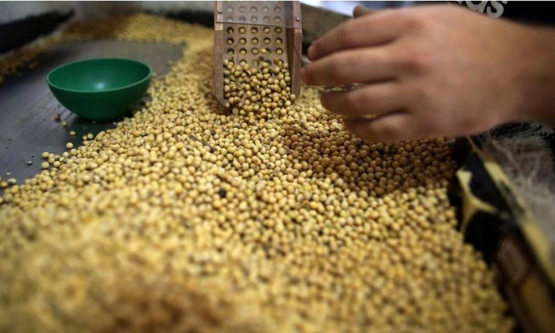Governo pode zerar tarifa de importação da soja Foto: Reuters
