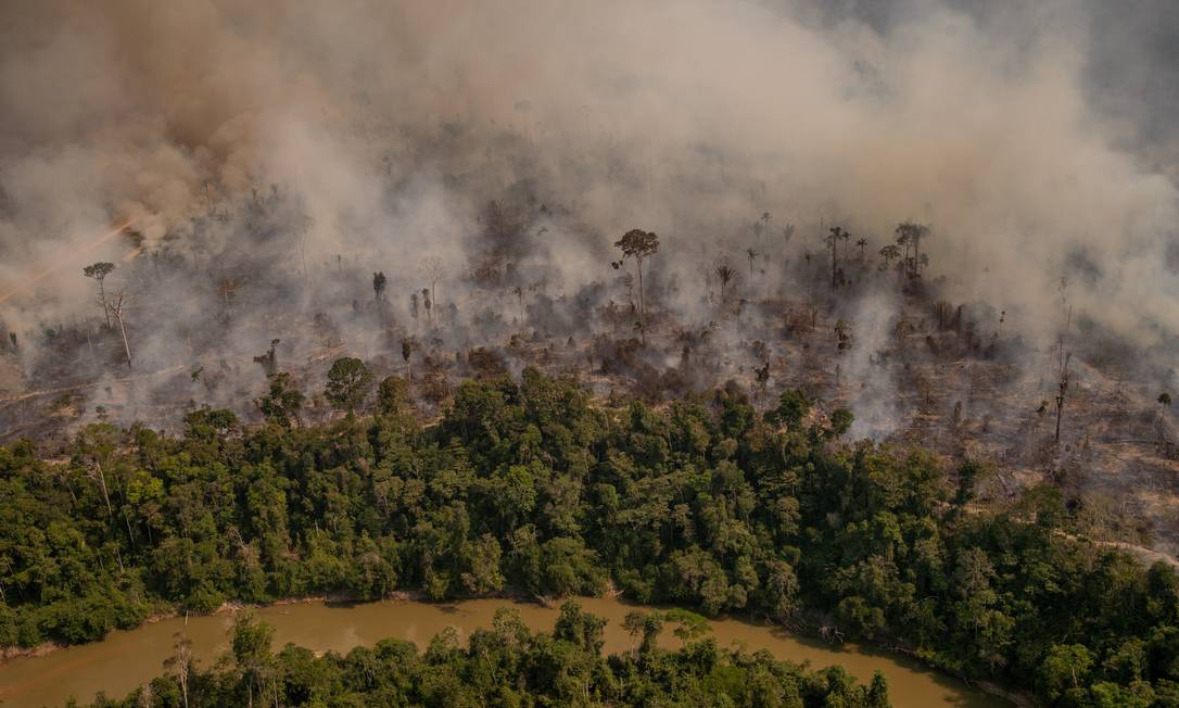 Europeus dificultam aprovação de acordo com Mercosul por causa do desmatamento Foto: Christian Braga / Agência O Globo