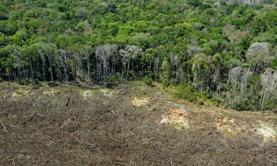 Desmatamento da Amazônia, em foto de agosto de 2020, em Mato Grosso Foto: FLORIAN PLAUCHEUR / AFP