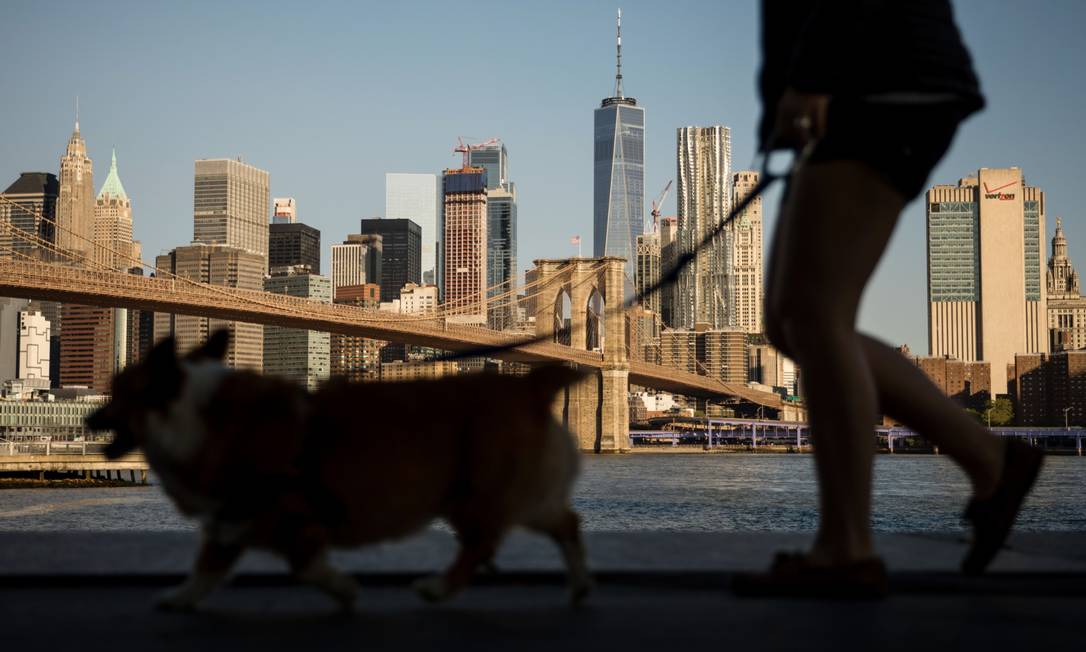 Indústria de cuidados com animais de estimação está crescendo Foto: Michael Nagle / Bloomberg