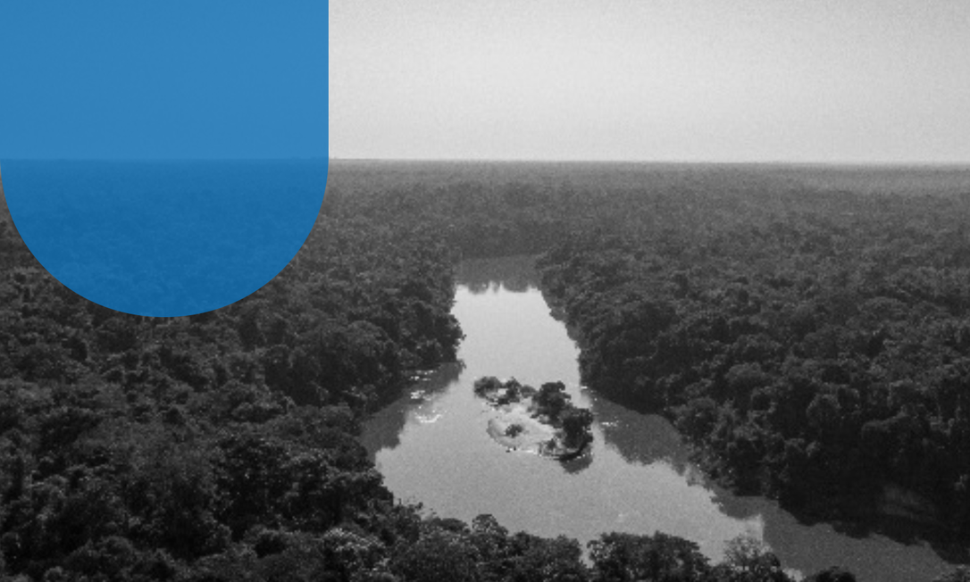 O Fortaleza Ituxi, em Lábrea, na Floresta Amazônica, é um dos projetos que geram créditos de carbono Foto: Divulgação