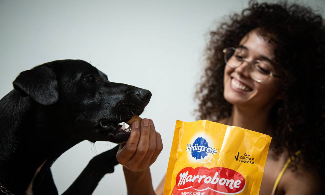Pedigree é a marca de produtos para pets mais lembrada pelos cariocas Foto: Hermes de Paula / Agência O Globo