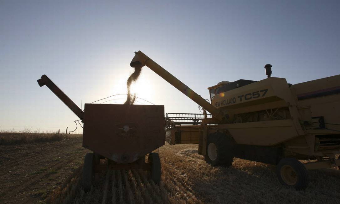 Colheita de trigo: Rússia e Ucrânia são responsáveis por 28% do comércio global do grão Foto: Adriano Machado / Bloomberg