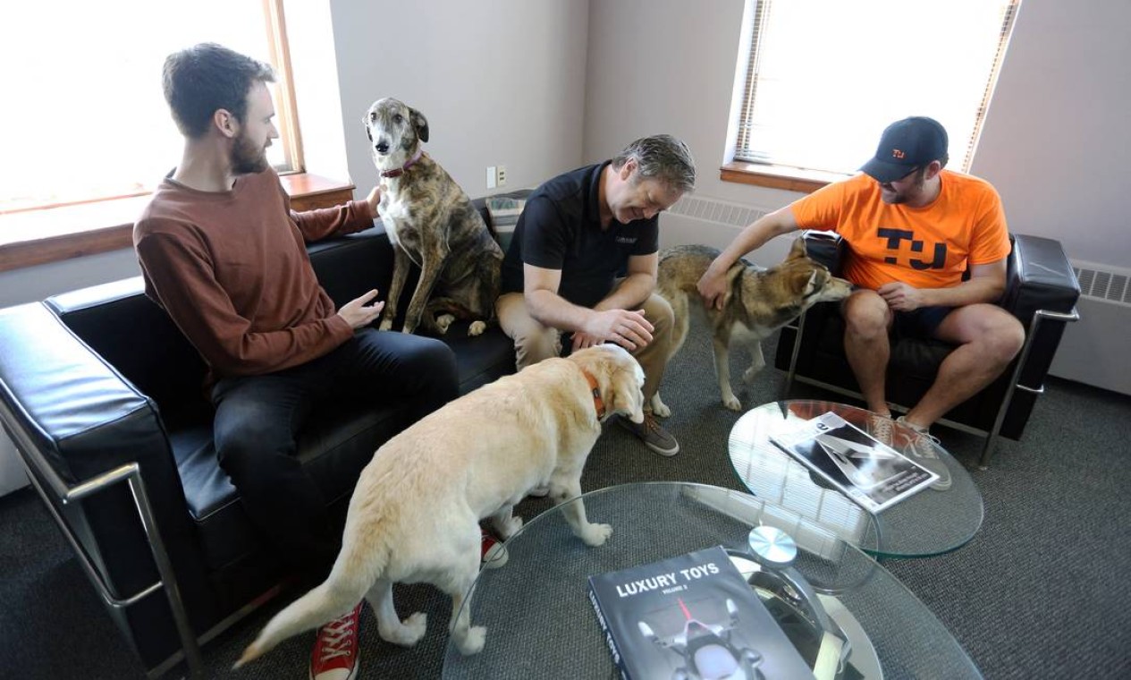 Funcionários da Tungsten Collaborative, em Ottawa, durante reunião. Os pets podem permanecer na empresa durfante horário do trabalho Foto: DAVE CHAN / AFP