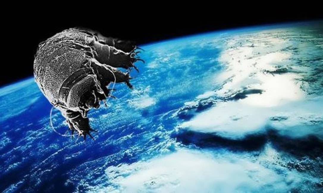 Ilustração de tardígrado no espaço: animais já resistiram dias expostos ao ambiente extremo Foto: Reprodução