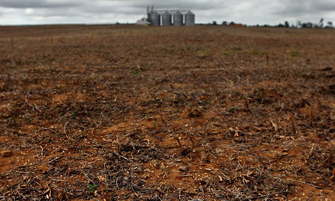 Um campo de cultivo de soja é encontrado em área desmatada no Pará. Depois de muitos avanços regulatórios de proteção ambiental, o desmatamento voltou a subir em todos os biomas do Brasil, em especial no Amazônico e no Cerrado. Foto: Mario Tama / Getty Images