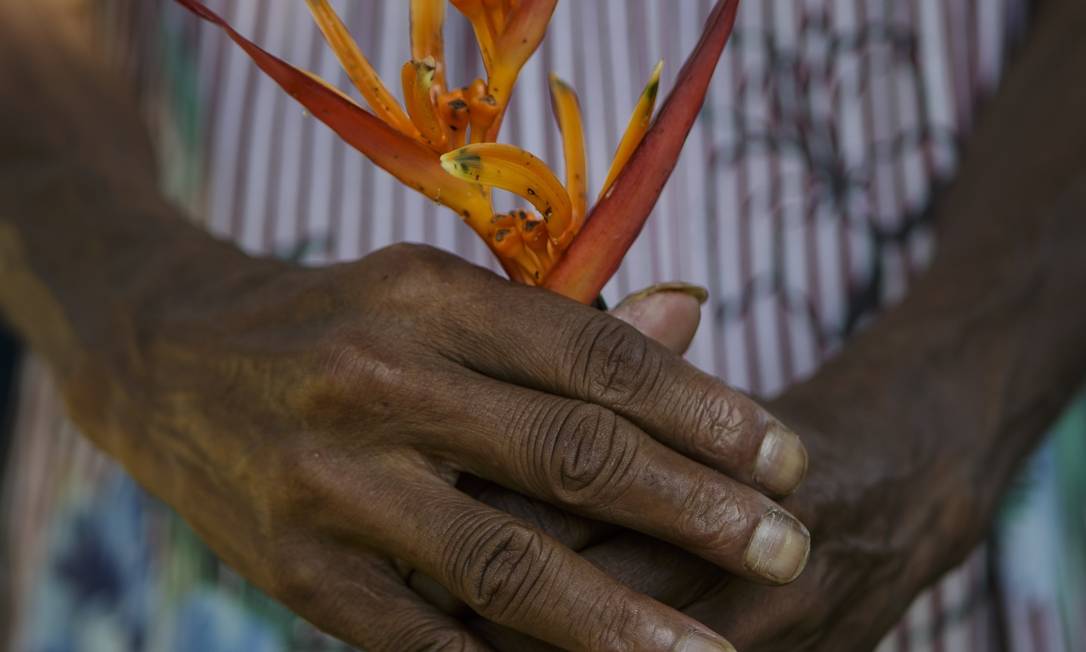 Resgatada após 41 anos de trabalho análogo à escravidão, a idosa tem dificuldade de entender o que se passou em sua vida. Foto: Alexandre Cassiano / Agência O Globo