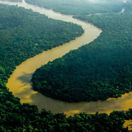 A Amazônia, maior patrimônio ambiental do Brasil, levanta preocupações da comunidade internacional. A pressão para preservar a floresta é um incentivo para que as empresas brasileiras implementem os padrões do ESG. Foto: Michel Renaudeau / Only World / Only France / AFP