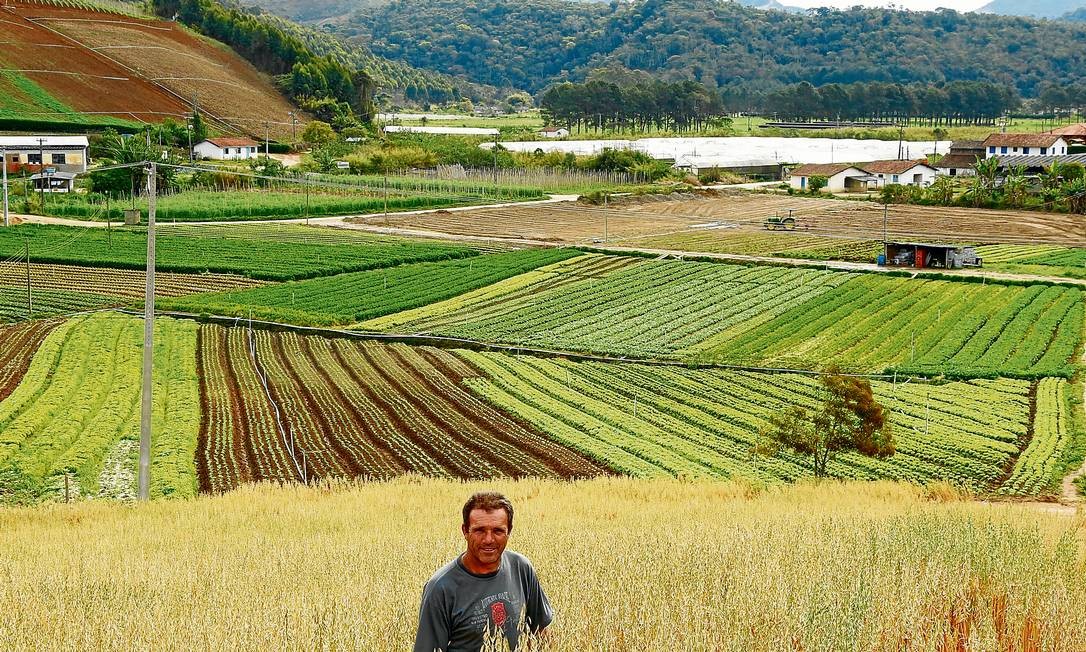 Atividade Econômica Que Prepara O Solo Para Plantar E Colher