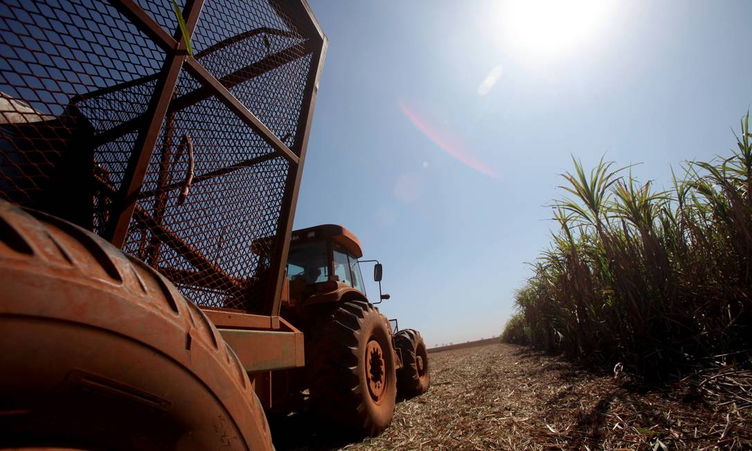 Máquina trabalha em fazenda de cana de açúcar, na cidade de Colômbia (SP) Foto: Dado Galdieri / Bloomberg