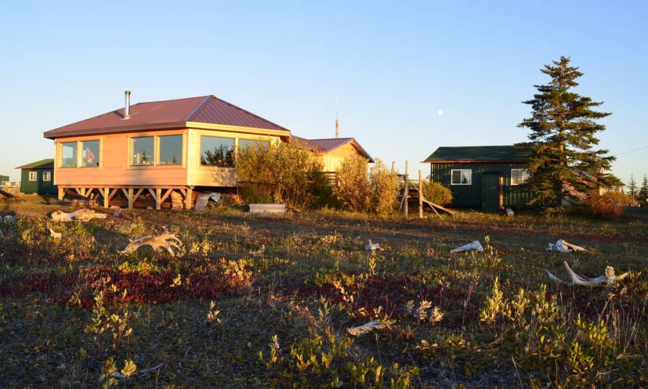 O remoto Nanuk Lodge está ao alcance dos ursos polares, embora protegido deles. Os janelões de vidro permitem observar os animais e ossadas de animais no jardim Foto: Cristina Massari / O Globo