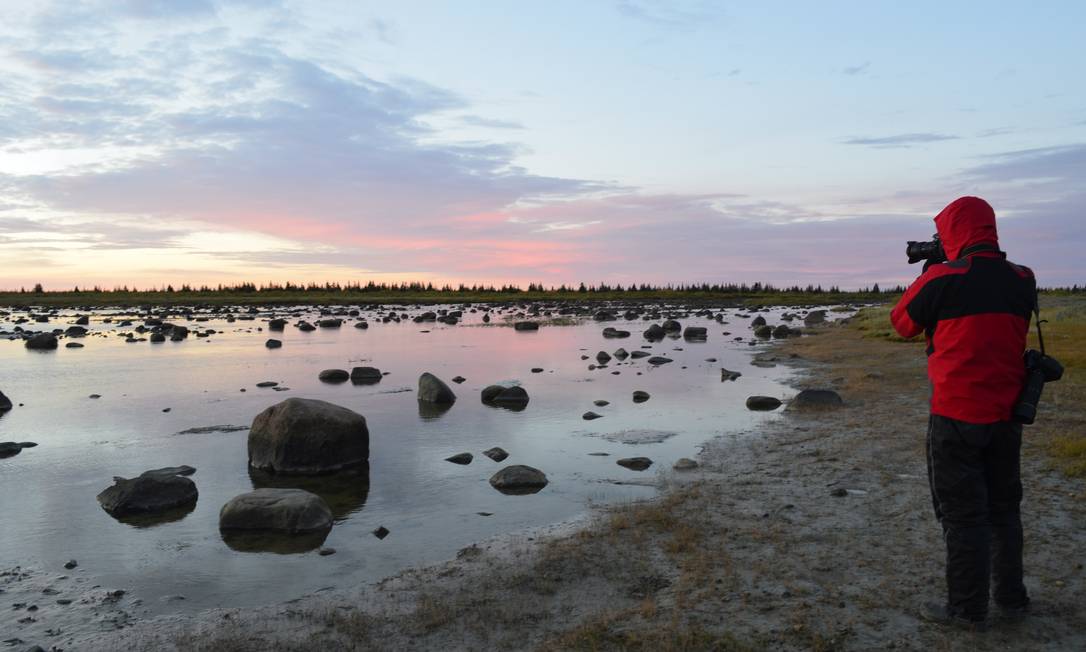 The underground vegetation enhances the colors of the sunrise, during dawn walks, following the moose trail Photo: Cristina Massari / O Globo