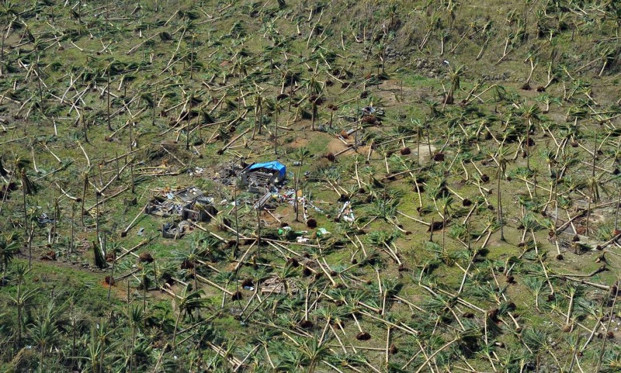 Foto aérea mostra milhares de árvores de uma floresta derrubadas pela força dos ventos do tufão que matou milhares de pessoas nas Filipinas Foto: TED ALJIBE / AFP
