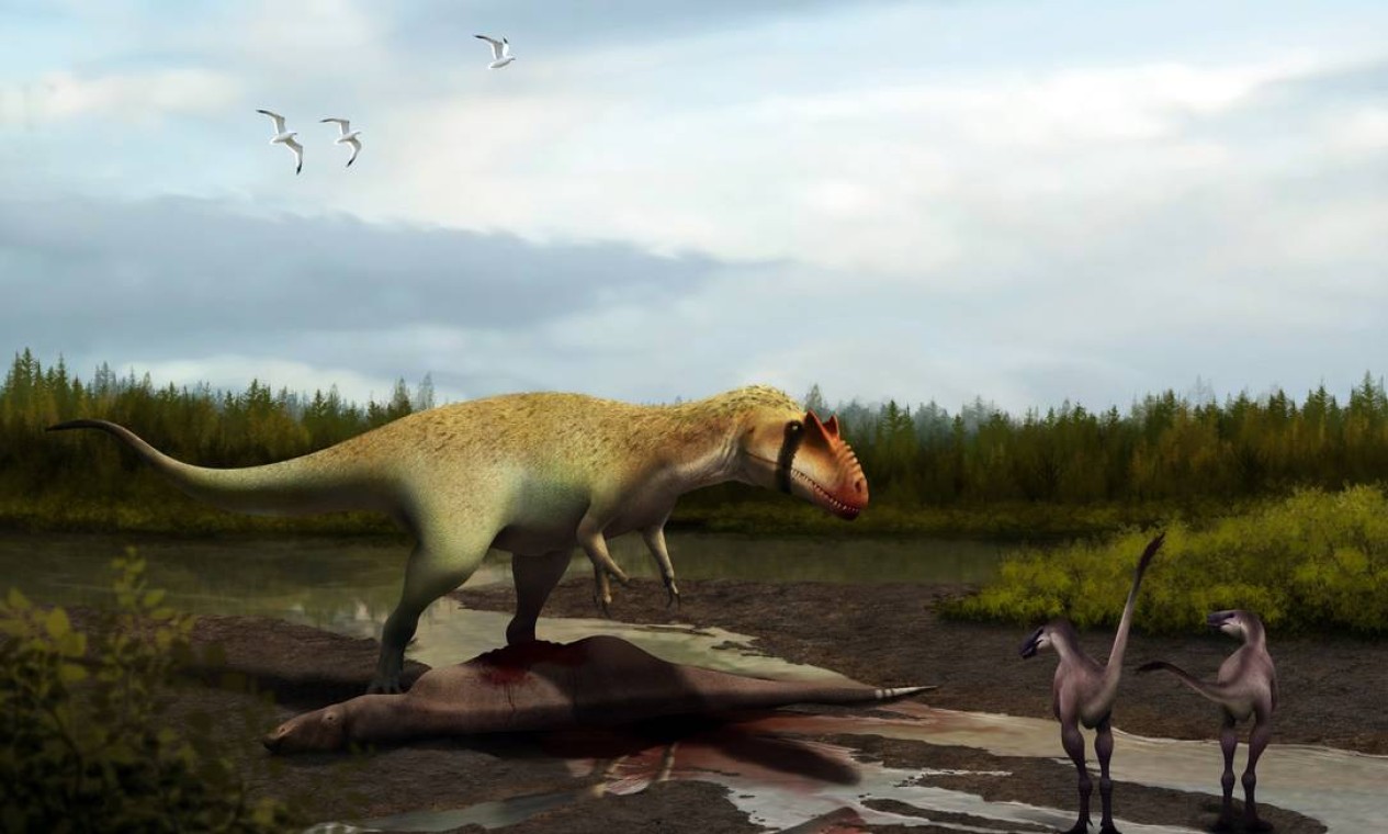 Cientistas descobrem novo dinossauro predador gigante com braços curtos,  como o T-Rex - SWI