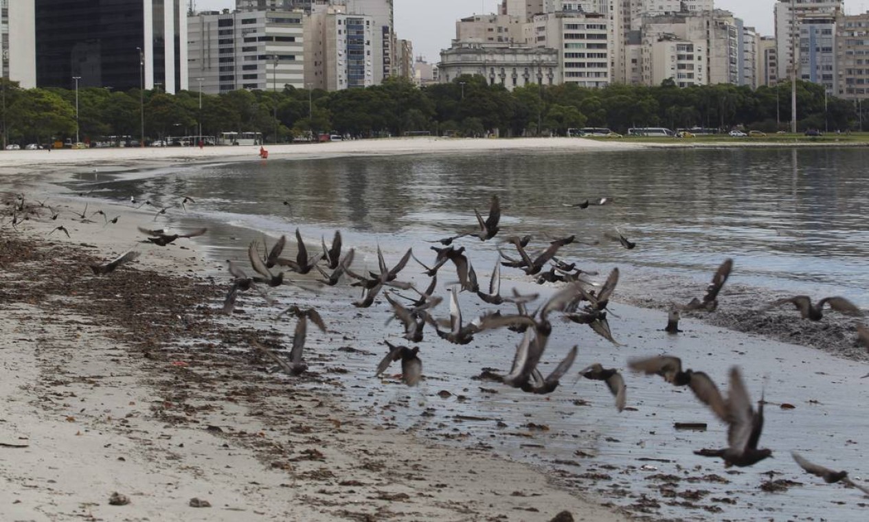 Poluição Na Praia De Botafogo Jornal O Globo