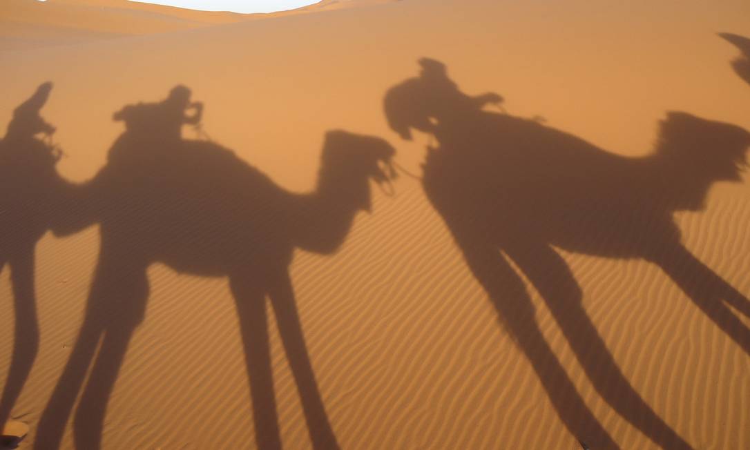 
Camelos atravessam o Deserto do Saara
Foto: Cesar Baima