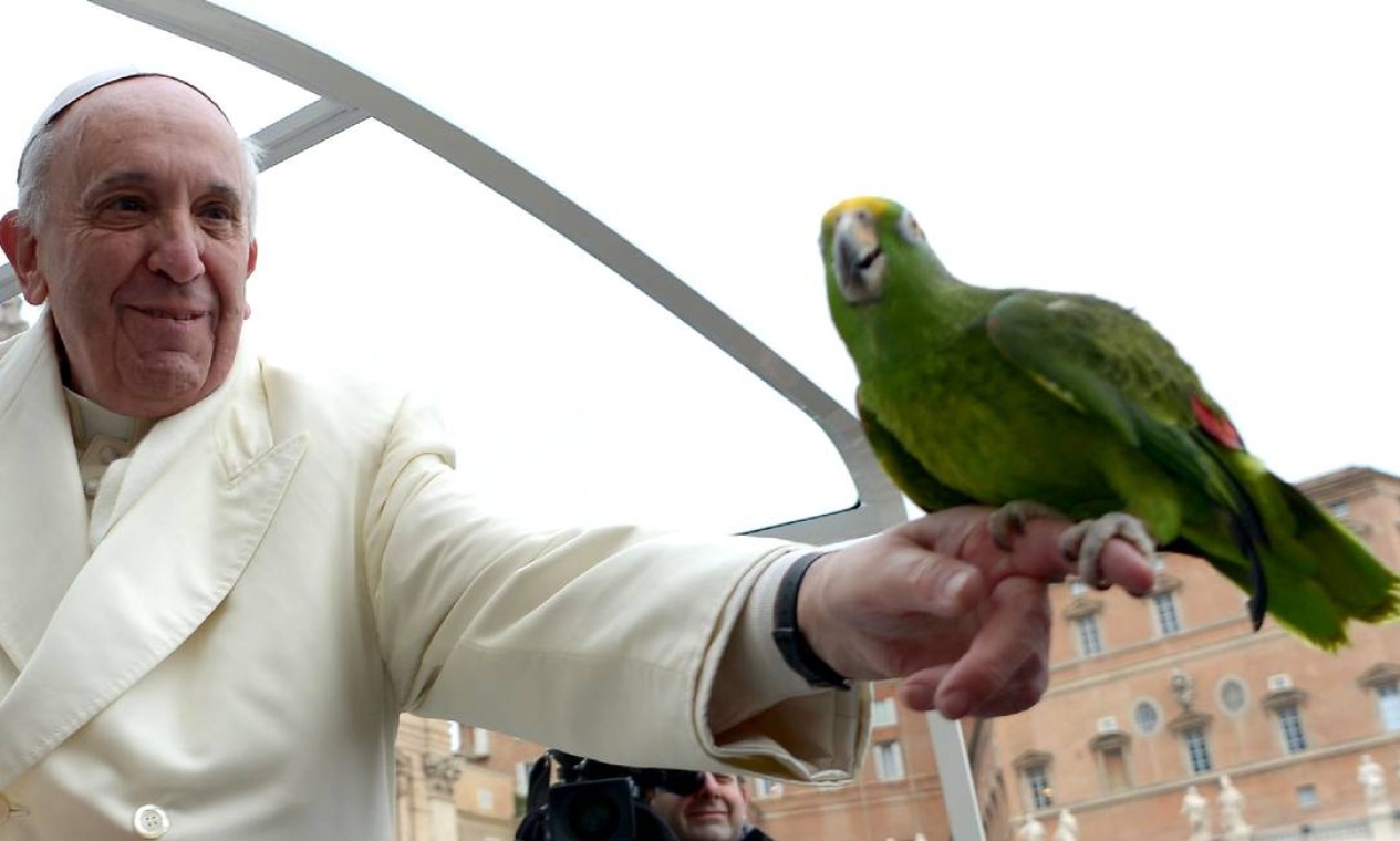 Francisco segura o papagaio de um peregrino na Praça de São Pedro Foto: AFP-29-1-2014