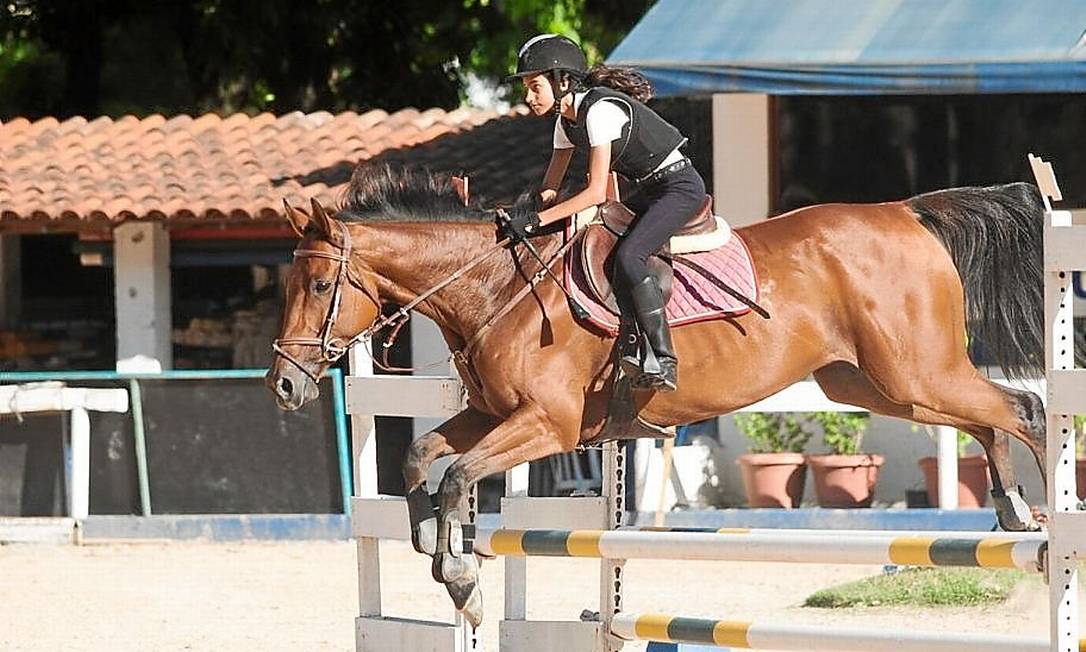 Crianças de escola do Rio encaram cavalo que 'senta e rebola