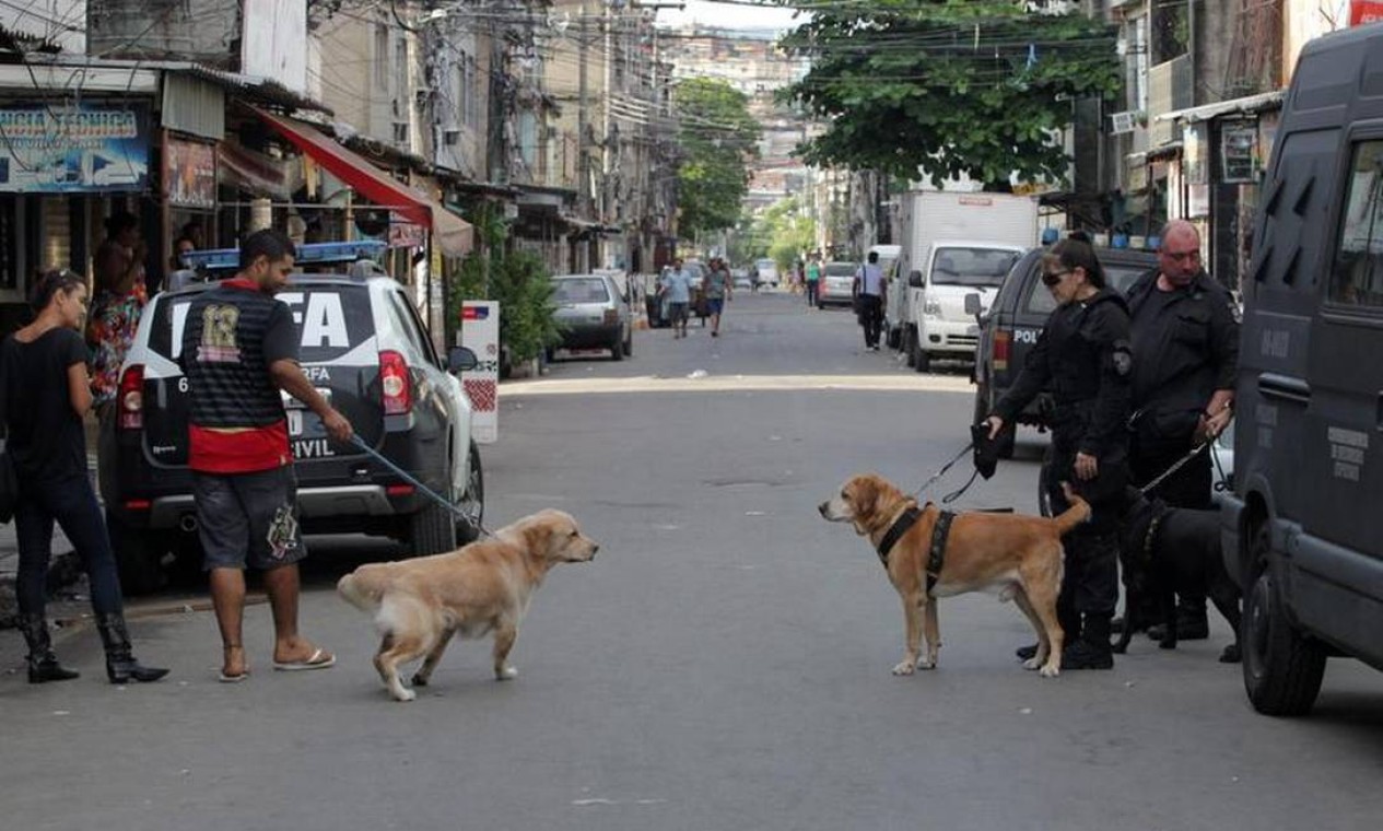 Cão da polícia observa cachorro que passa com morador da Maré Foto: Roberto Moreyra