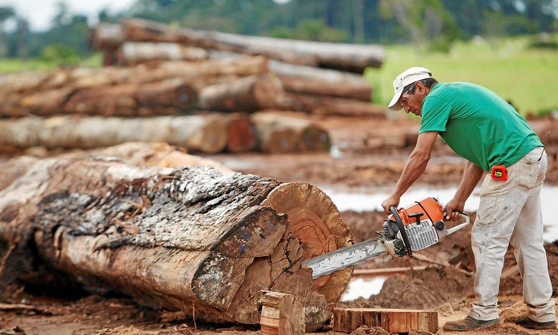
Desmatamento na região de Xapuri, no Acre: disputa de terra é motivada por atividades econômicas como agricultura e especulação imobiliária
Foto: Gustavo Stephan