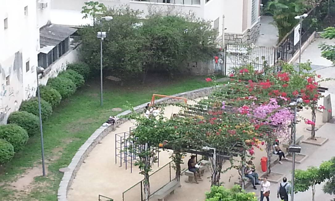 Jardins urbanos: os bouganvilles floridos da Praça Mauro Duarte ...