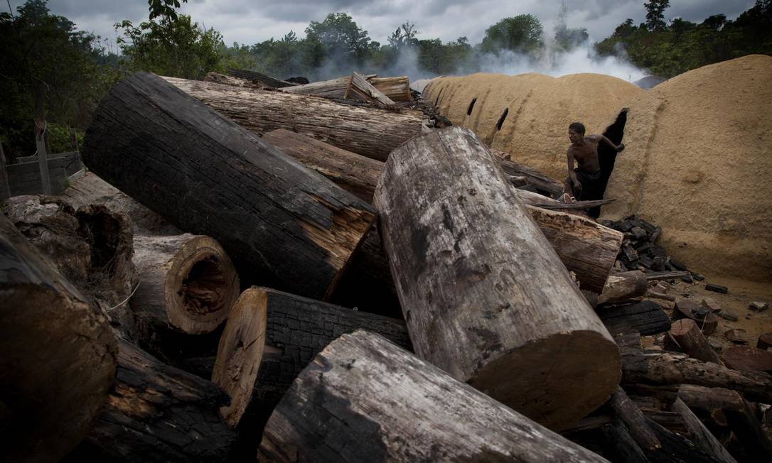 
Extração ilegal de madeira em Goianésia (GO)
Foto:
/
MARIZILDA CRUPPE/AFP
