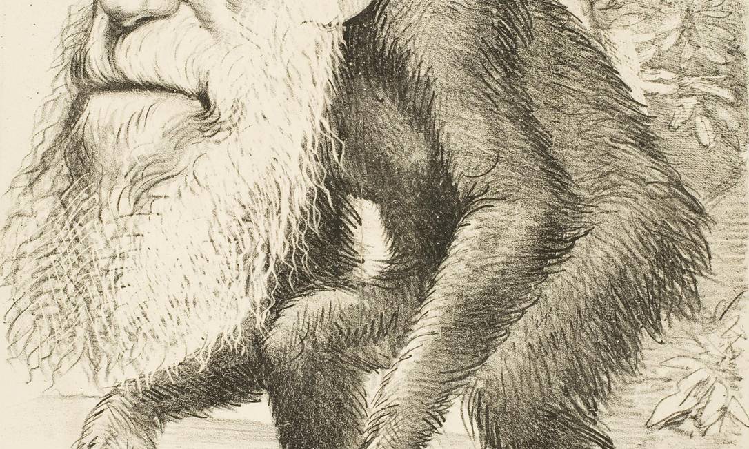 
Charge mostra o rosto de Charles Darwin em corpo de macaco
Foto:
/
Reprodução
