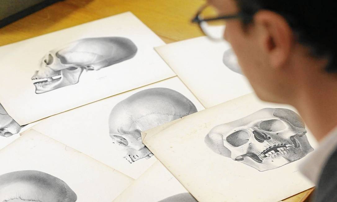 
O historiador James Poskett, da Universidade de Cambridge, analisa os desenhos de “Crania americana”, livro de Samuel George Norton
Foto: Divulgação