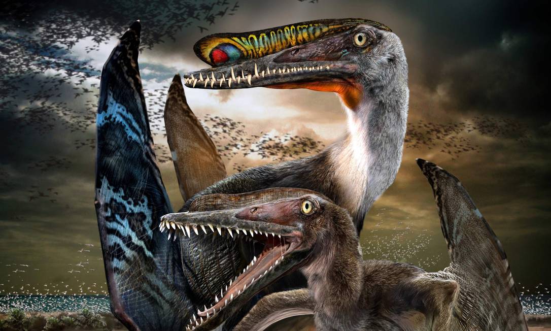 An artist rendition depicts ecological reconstructions of Hamipterus, the flying reptiles that lived alongside the dinosaurs. Chinese scientists said on June 5, 2014 they had unearthed five pterosaur eggs preserved beautifully in three dimensions at a site in northwestern China that also includes no fewer than 40 adult individuals of a newly identified species that lived in a bustling colony near a large freshwater lake. REUTERS/Chuang Zhao/Handout via Reuters (UNITED STATES - Tags: ENVIRONMENT SCIENCE TECHNOLOGY) ATTENTION EDITORS - THIS IMAGE WAS PROVIDED BY A THIRD PARTY. FOR EDITORIAL USE ONLY. NOT FOR SALE FOR MARKETING OR ADVERTISING CAMPAIGNS. NO SALES. NO ARCHIVES. THIS PICTURE IS DISTRIBUTED EXACTLY AS RECEIVED BY REUTERS, AS A SERVICE TO CLIENTS Foto: Chuang Zhao / REUTERS
